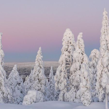 Northern Bliss Hideaway روفانييمي المظهر الخارجي الصورة